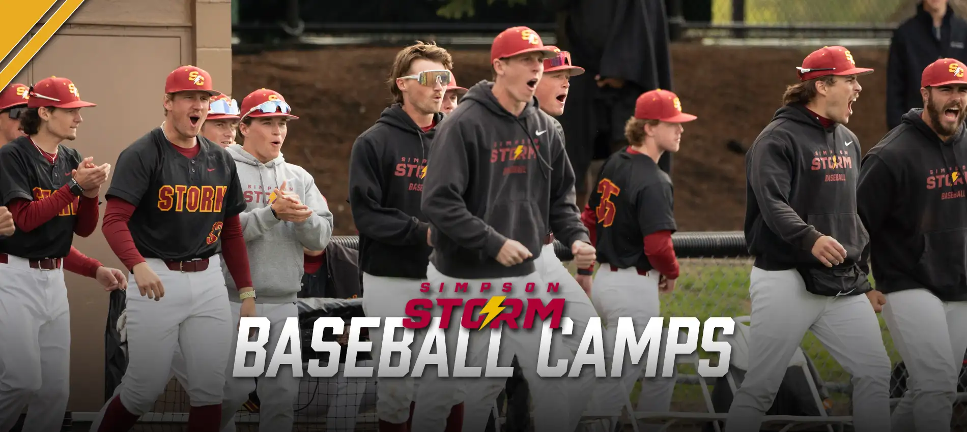 Simpson Baseball Camps